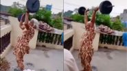 Viral Video: पोते ने अपनी दादी को दिया फिटनेस चैलेंज, फिर 80 साल की बुजुर्ग महिला ने जो किया, नजारा देख उड़े होश